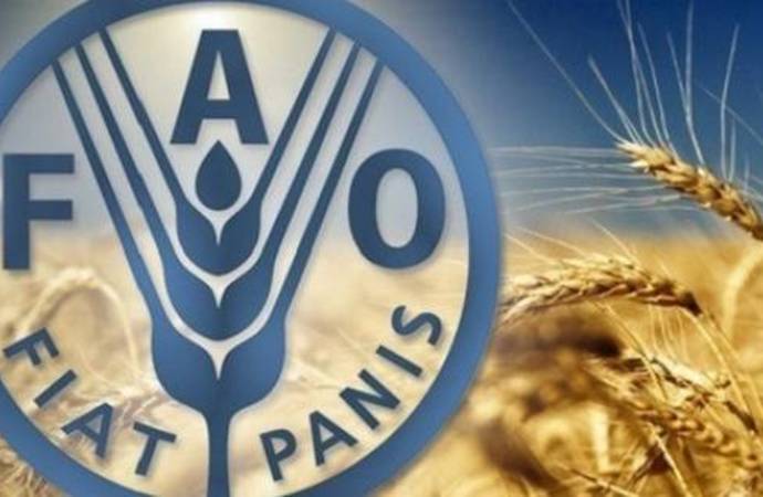   منظمة الاغذية العالمية : اسعار الغذاء  تراجعت بنسبة  10.7 % خلال عام 