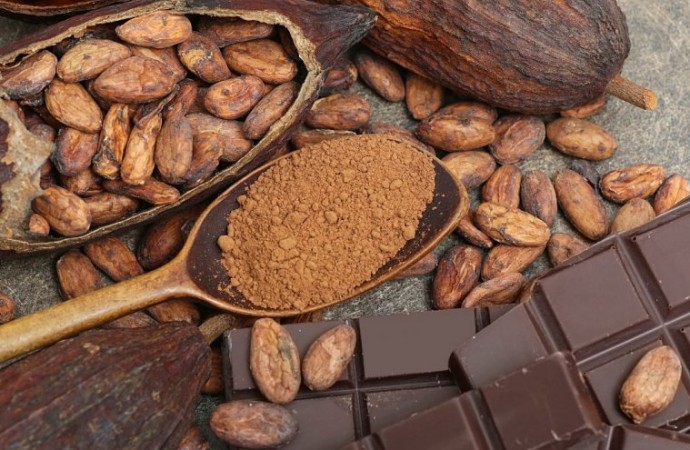  بوادر انفراج في أزمة ثمرة الكاكاو  هل يعيد الانتعاش لمصانع الشيكولا