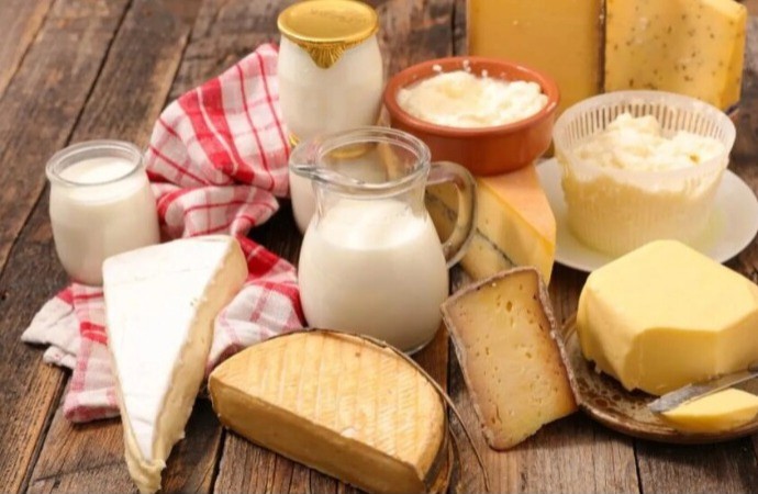 الصين تفرض رسوما على الألبان  المستوردة من الاتحاد الأوروبي