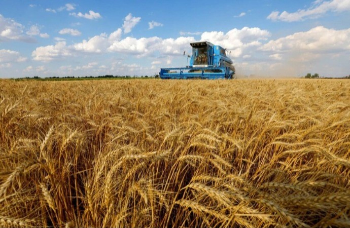 "الفاو": أزمة مضيق هرمز ليست مجرد  صدمة نفطية بل كارثة غذائية تهدد العالم