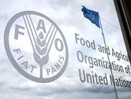 برنامج الغذاء العالمي يحذر من تفاقم  أزمة الجوع بعد تدمير سد "كاخوفكا"