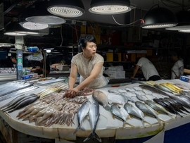 صراع صيني ياباني جديد يقتحم  أبواب منظمة التجارة العالمية