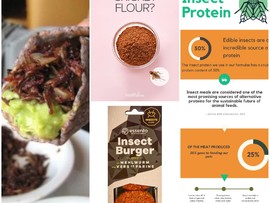 منتجات دقيق الحشرات!  هل تصل من صحون الأوروبيين الى صحوننا!!A