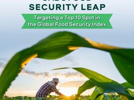 "لوجيك للاستشارات" تُصدر تقرير قطاع الأمن الغذائي في الإمارات 