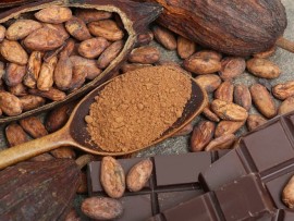  بوادر انفراج في أزمة ثمرة الكاكاو  هل يعيد الانتعاش لمصانع الشيكولا