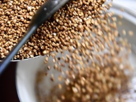 اميركا ضاعفت مشترياتها  من الحنطة السوداء من روسيا 