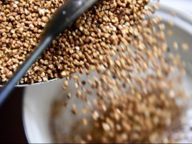 أسعار القمح تواصل ارتفاعها  في جميع الأسواق العالمية